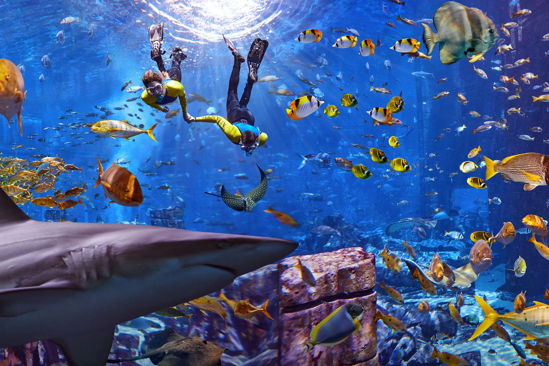 Lost Chambers Aquarium