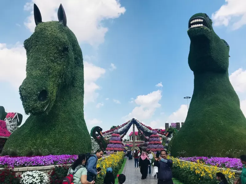 Dubai Miracle Garden 10
