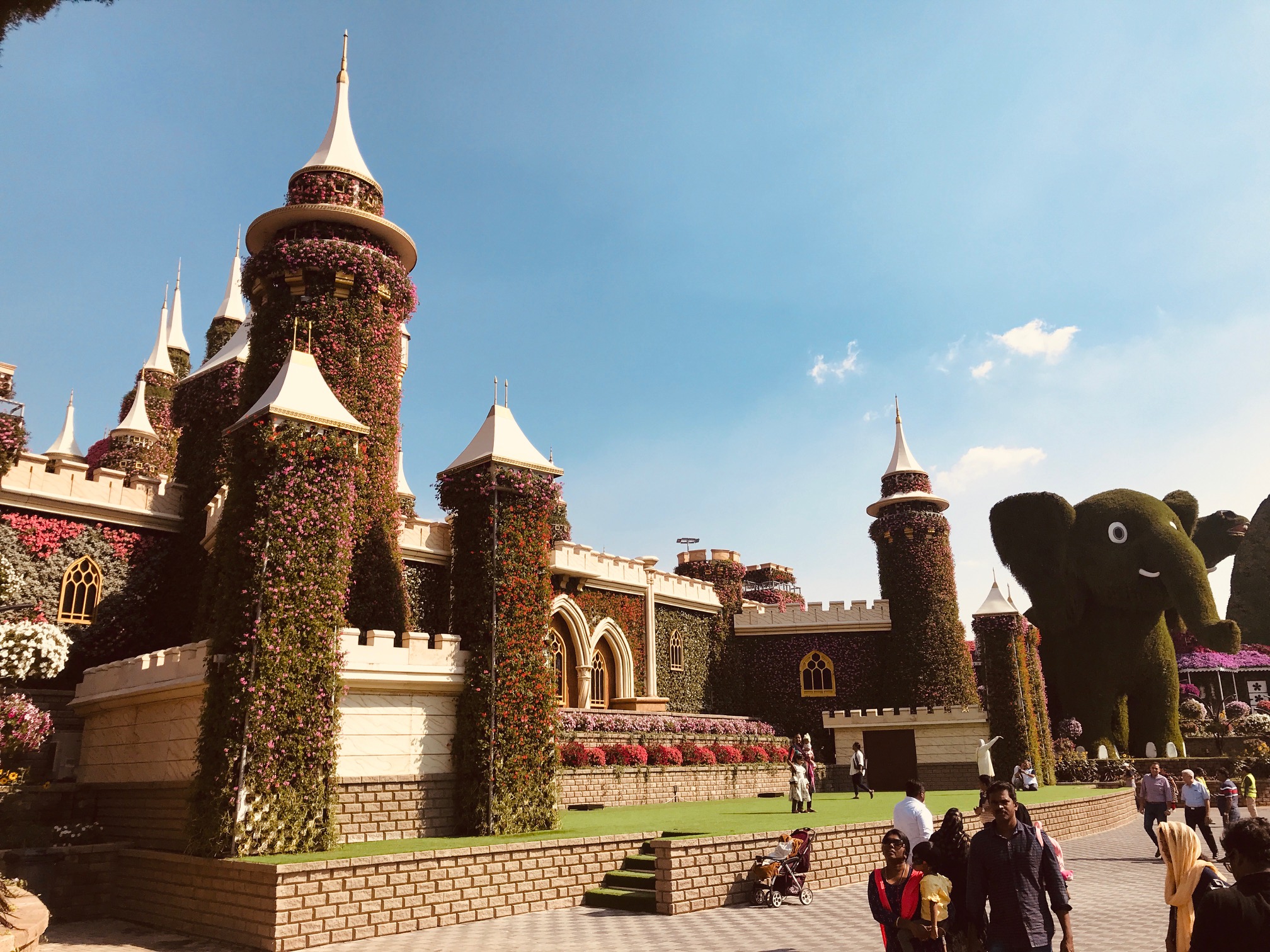 Dubai Miracle Garden 5