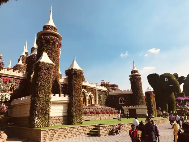 Dubai Miracle Garden 5