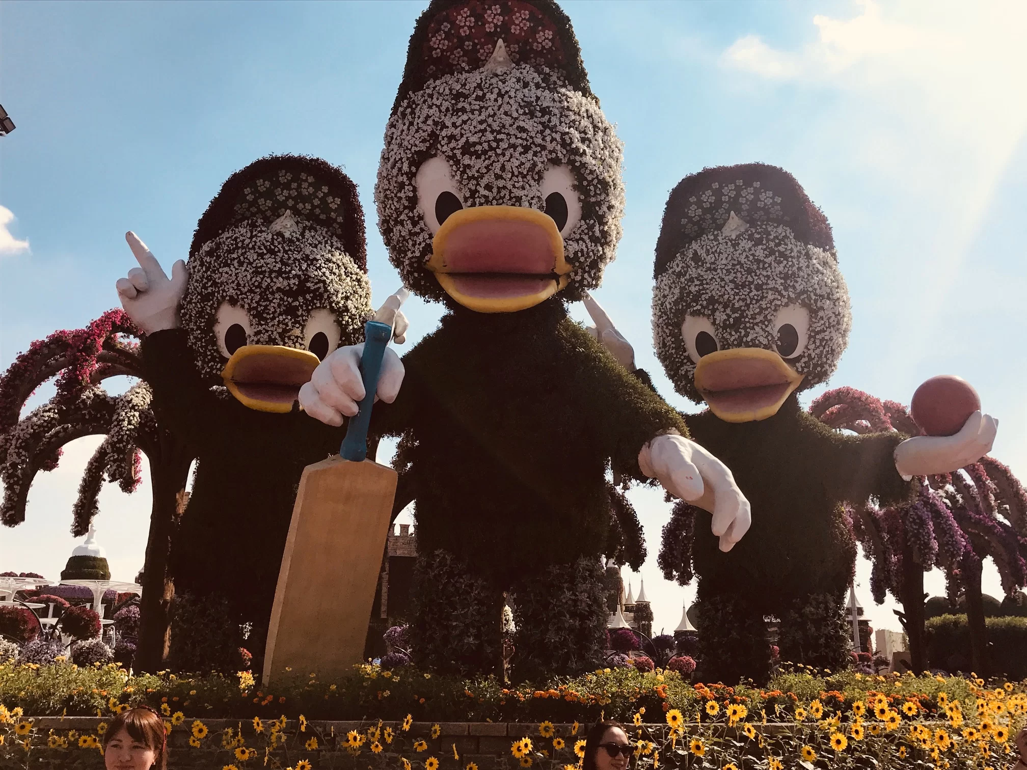Dubai Miracle Garden 6