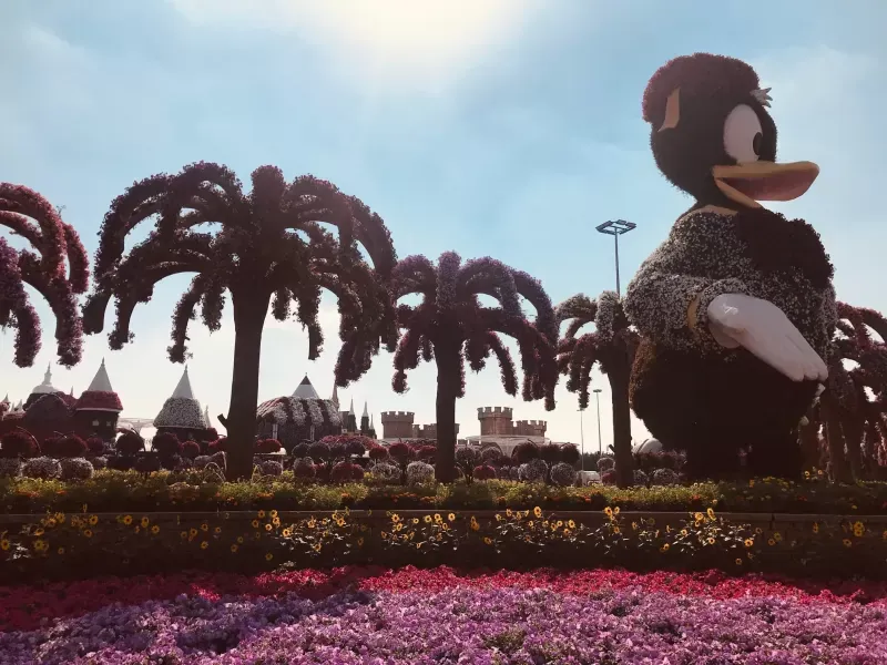 Dubai Miracle Garden 7