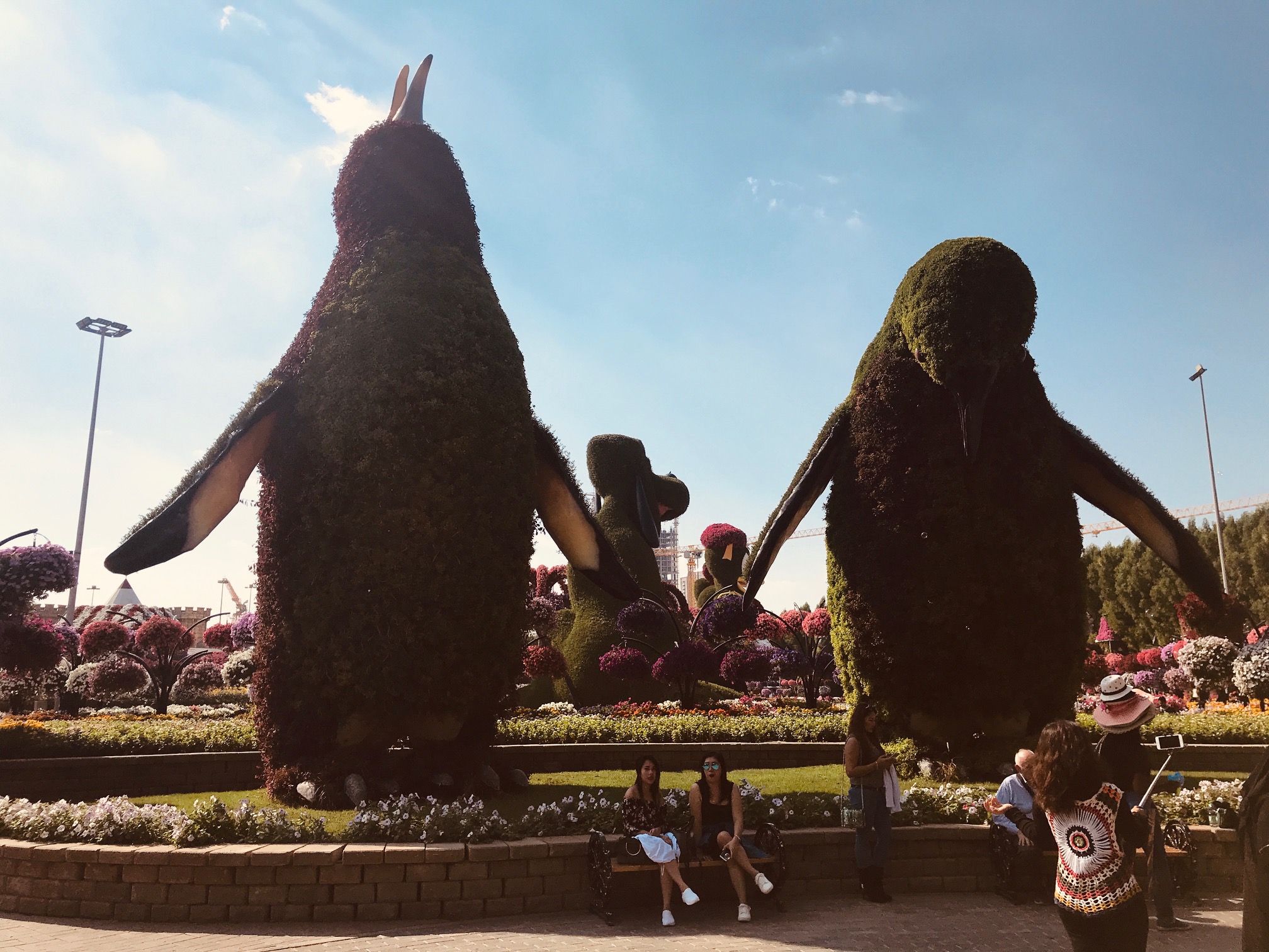 Dubai Miracle Garden 8