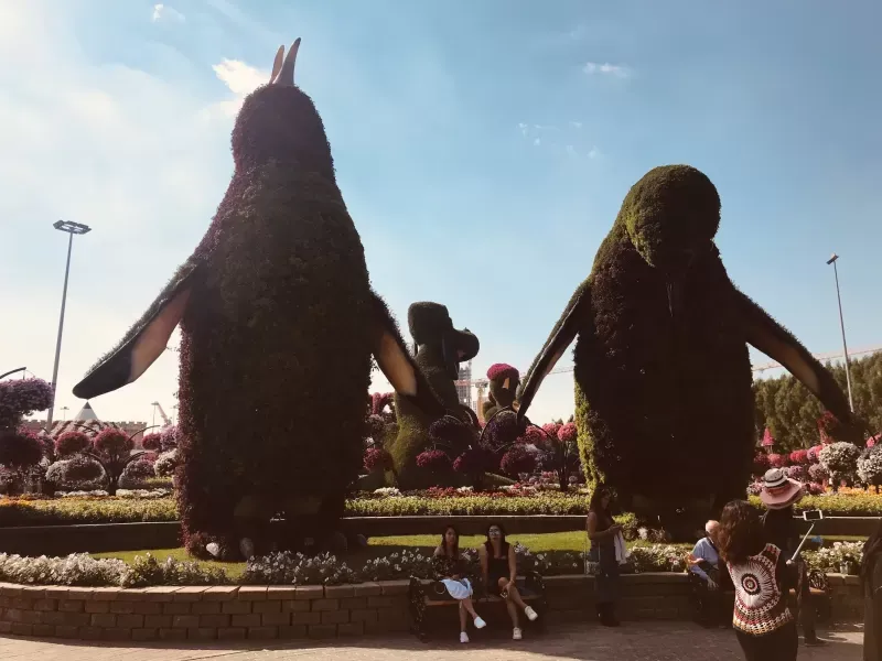 Dubai Miracle Garden 8