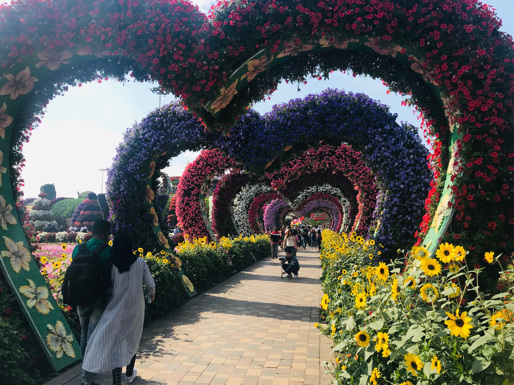 Dubai Miracle Garden 9