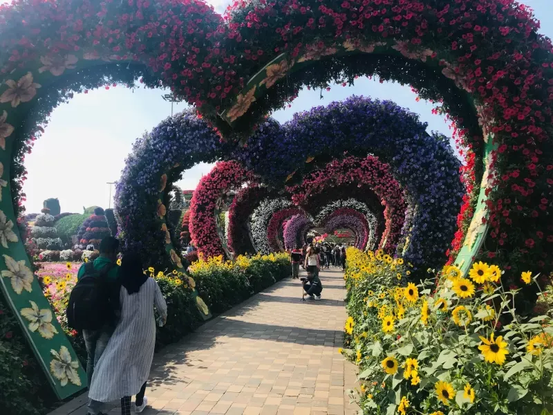 Dubai Miracle Garden 9